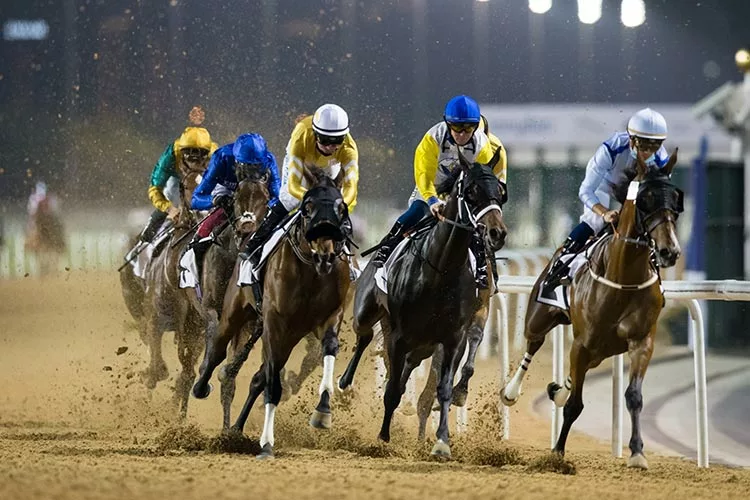 Horse-Racing-Dubai World Cup travel-calendar-ideas-booking-hotel-flight-deals booking hotel flight deals